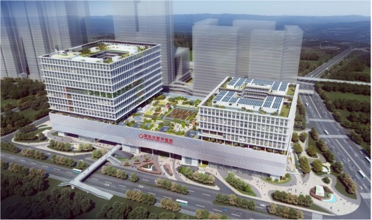 深圳市新华医院